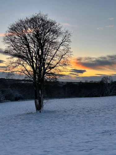 Landscape view across Cleve Farm's 24 acres